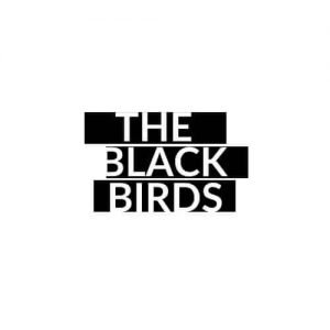 free logo design work - The Black Birds Logo 300x300 - Free Logo design work free logo design work - The Black Birds Logo 300x300 - Free Logo design work
