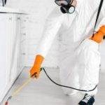 Pest-Control Home, Housekeeping Services Pimple Saudagar &#8211; RightDeal |