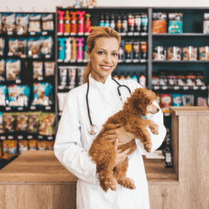 Pet Shop new Sellers Portal &#8211; We offer listings of local area sellers to district level sellers in Pimple Saudagar Pune. | sellers portal - we offer listings of local area sellers to district level sellers in pimple saudagar pune.