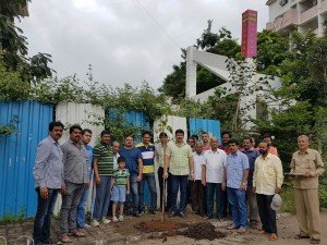 IMG-20160730-WA001 100 Banyan Trees Planted From Kokane Chowk to Swaraj Garden in Pimple Saudagar | 100 banyan trees planted from kokane chowk to swaraj garden in pimple saudagar