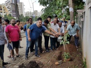 IMG-20160730-WA002 100 Banyan Trees Planted From Kokane Chowk to Swaraj Garden in Pimple Saudagar | 100 banyan trees planted from kokane chowk to swaraj garden in pimple saudagar